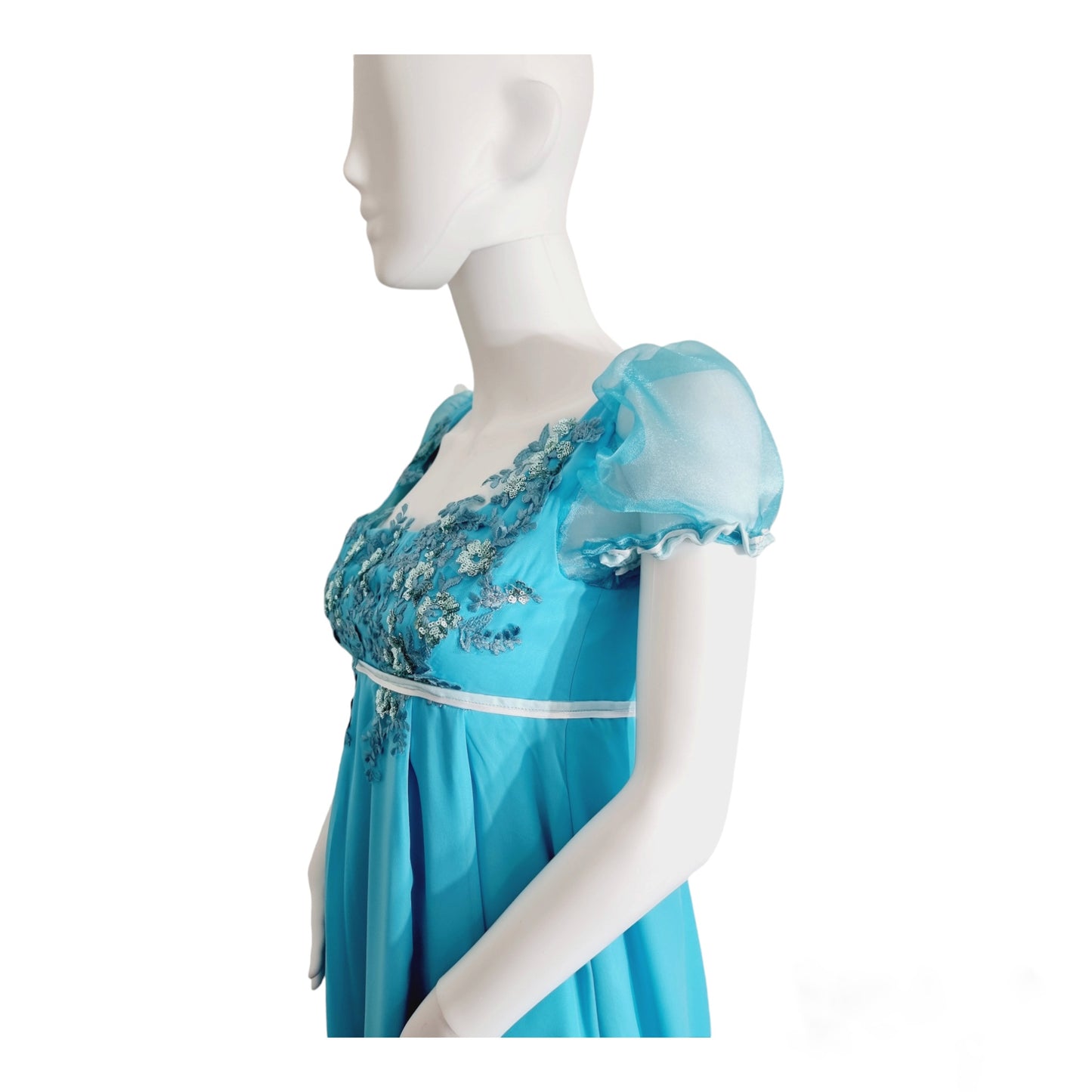 Vintage Regency Dress