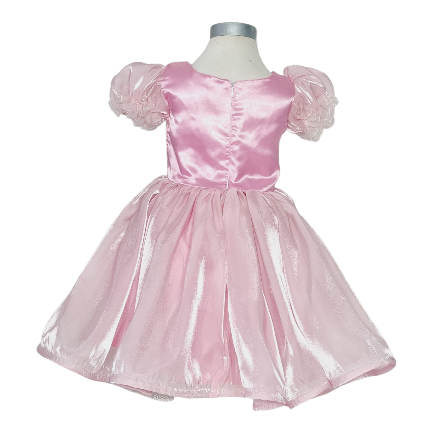 Little girl pink princess dress with crown