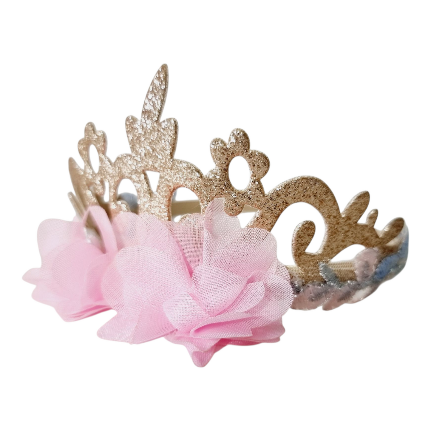 Little girl pink princess dress with crown