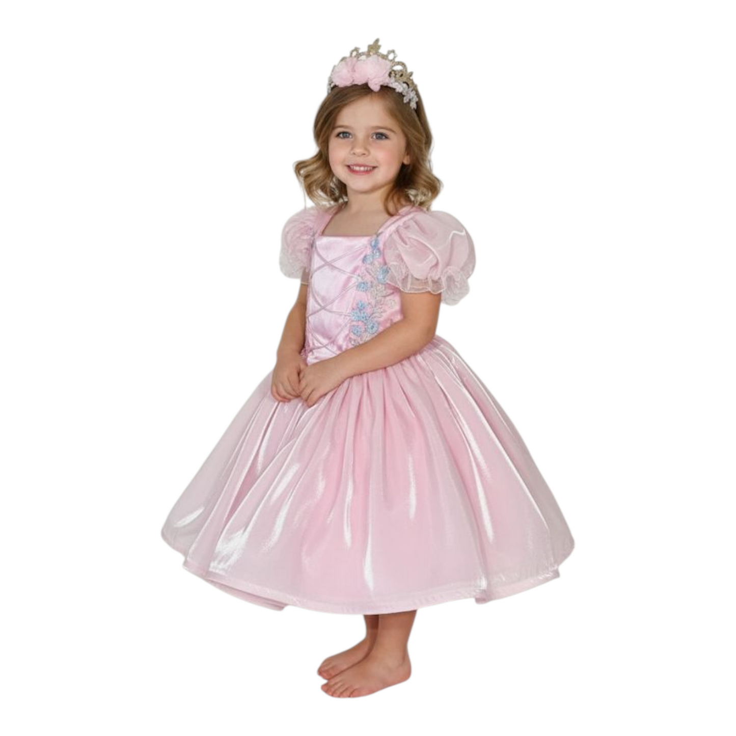 Little girl pink princess dress with crown