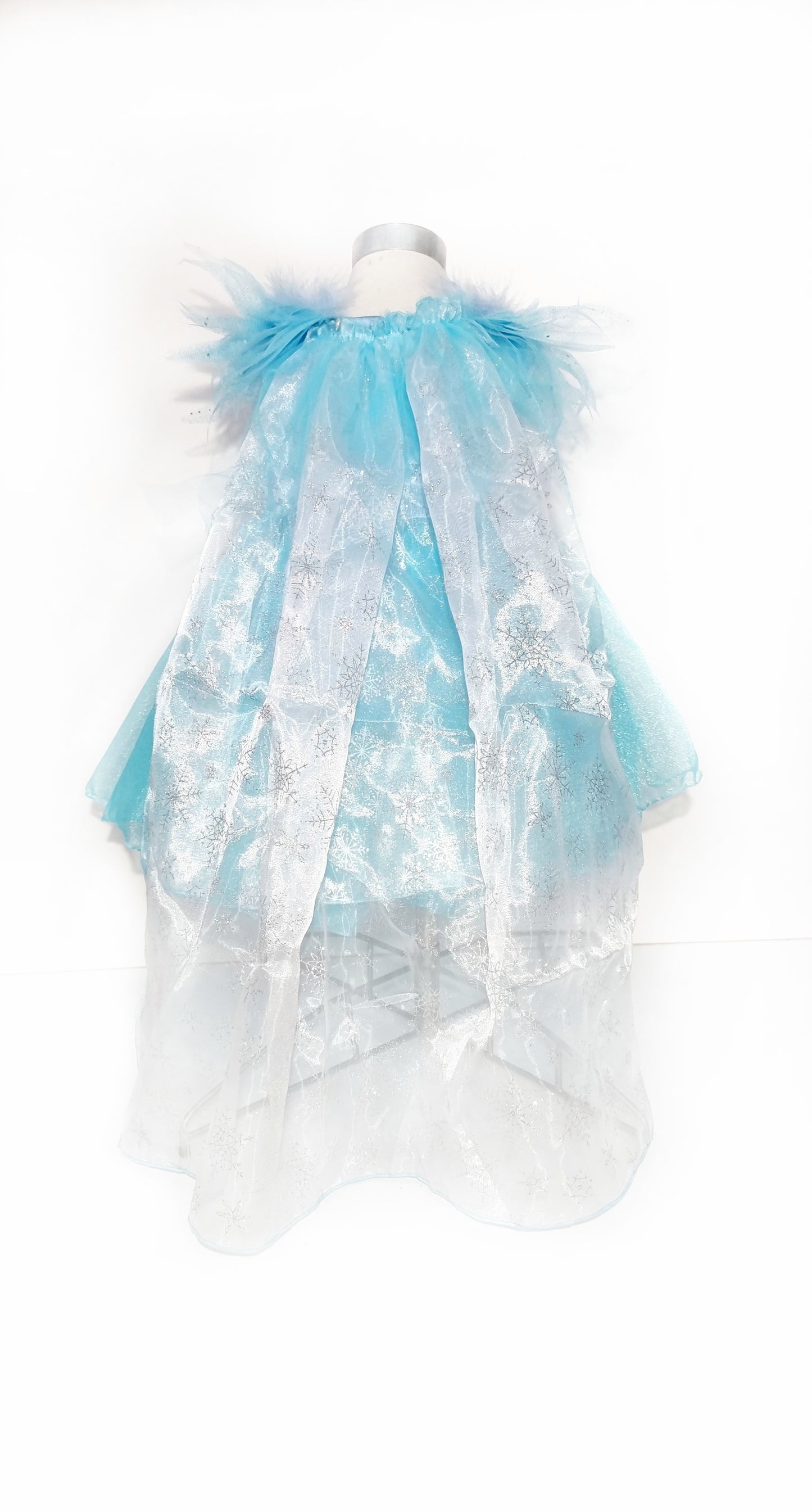 Blue princess dress