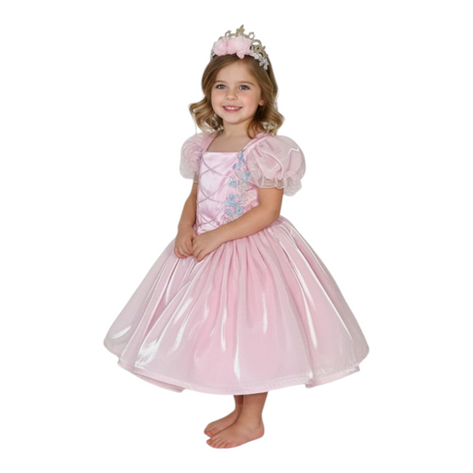 Little girl pink princess dress with crown